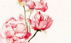 生肖马2023年运势及运程 找到对象生活美好