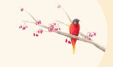 2021年10月15日开张大吉吗 是开张吉日吗