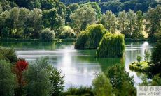 室内什么绿植镇宅辟邪还能招财。