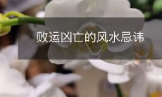 败运凶亡的风水忌讳