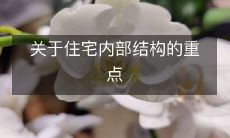 关于住宅内部结构的重点