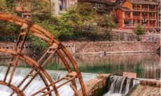 帮寻找属虎生肖八字 财运属于一般