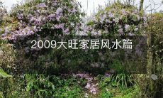 2009大旺家居风水篇