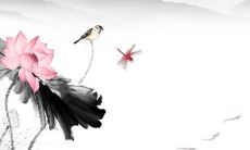 2021年10月8日开张大吉吗 是黄道吉日吗