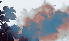 2022年桃花旺的八字 八字日元桃花朵朵不烂