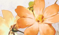 2022年偏财运好的八字 五行喜水木诸事顺利