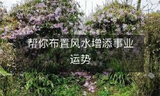 帮你布置风水增添事业运势