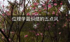 位理学最纠结的五点风水