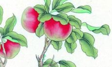 2022年11月2日可以出门吗 是出行上等吉日吗