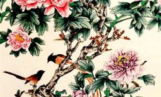 2022年11月5日适合出门游玩吗 出行日子查询