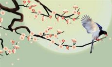 2022年11月8日宜出行吗 是外出吉利日子吗