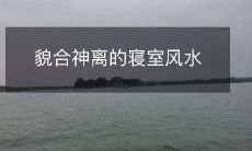 貌合神离的寝室风水