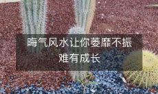 晦气风水让你萎靡不振难有成长