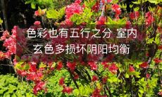 色彩也有五行之分 室内玄色多损坏阴阳均衡