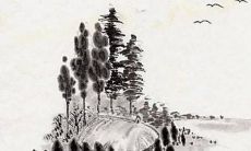 2022年12月15日提车吉利吗 这天日子如何