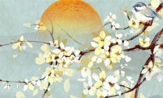 黄道吉日查询:2022年10月29日可以提新车吗