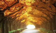 哪个方向的宿舍床头最好?南北朝向有利于血液循环