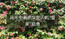 风水中易伤女主人的“爱巢”隐患