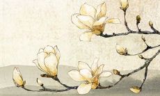 2022年12月7日大雪提车如何 是提新车的吉日吗