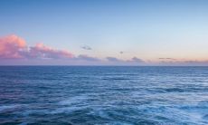 虎宝宝叫什么乳名好 可爱洋气小名大全