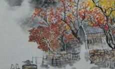 2022年12月11日提车好吗 此日提新车如何