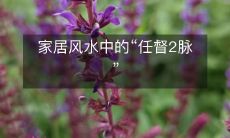 家居风水中的“任督2脉”