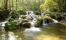 什么风水容易导致儿童性格孤僻