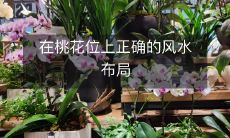 在桃花位上正确的风水布局