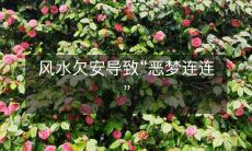 风水欠安导致“恶梦连连”