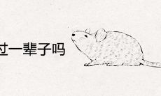 男鼠女虎能过一辈子吗