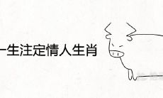 属牛一生注定情人生肖