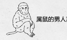 属鼠的男人离不开属猴女人为什么 婚姻相配吗