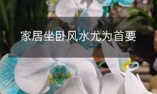 家居坐卧风水尤为首要