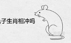 老鼠和兔子生肖相冲吗 在一起合不合财