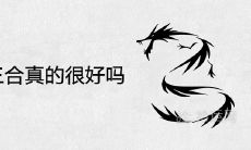 鼠龙猴三合真的很好吗