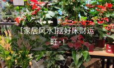 [家居风水]摆好床财运旺·！