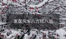 家居风水八方旺八运
