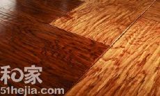 瓷砖风水 情况学与生理学的联合