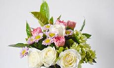 想招财的人家里种什么树