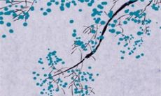 2022年10月16日适合出门游玩吗 出行日子查询