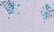 2022年10月17日宜外出游玩吗 出行日子好吗