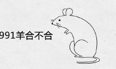 1984鼠和1991羊合不合