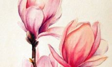 2023年财运最旺的生肖女 平步青云财富自由