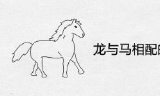 龙与马相配的婚姻如何