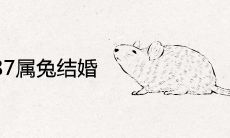 84鼠女跟87属兔结婚好吗