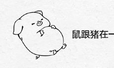 鼠跟猪在一起财运好吗