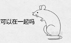 女鼠男羊大可以在一起吗 结婚后的结局如何