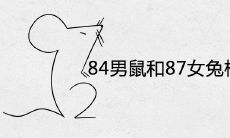 84男鼠和87女兔相刑倒霉透了 如何化解最合适