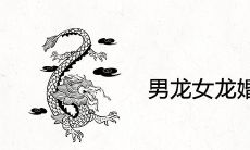 男龙女龙婚姻最终结局