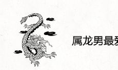 属龙男最爱的生肖女